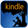 Get The Success Loop For Kindle